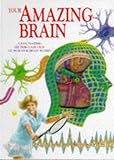 Your amazing brain