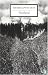 Vineland (Classic, 20th-Century, Penguin)