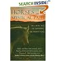 Horses and the Mystical Path