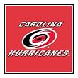 Carolina Hurricanes NHL Note Cube