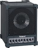 Roland Cube Monitor / PA