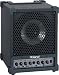 Roland Cube Monitor / PA