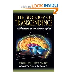 The Biology of Transcendence: A Blueprint of the Human Spirit