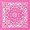 Hot Pink Paisley