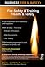 Business Protector Fire & Safety (PC)