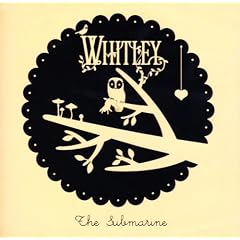 The Submarine