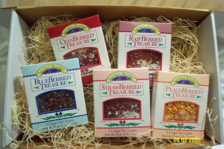 Dipper's Delight Gift Set Fruit Dips by Leonard Mountain