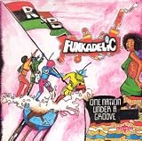 One Nation Under a Groove