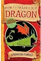How to Train Your Dragon (Hiccup Horrendous Haddock III)