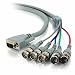Cables
To
Go
Premium
5m
HD15
Male
to
5-BNC
Male
Video
Cable
