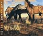 Songs From the Gravel Road