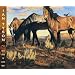 Songs From the Gravel Road