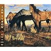 Songs from the Gravel Road