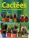 Cact&eacute;es : Cactus et Succulentes