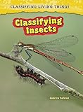 Insects