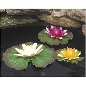 *LILLY LIGHTS by 
