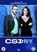 Csi:New York-Complete Season 2 [Edizione: Regno Unito]