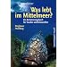 Top Mittelmeer-Kanaren