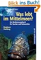 Was lebt im Mittelmeer?