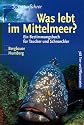 Was lebt im Mittelmeer?