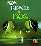 From tadpole to frog