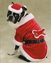 Dog Costume - Santa Paws (Pet Santa Claus Halloween or Christmas Costume) - Small
