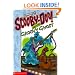 Scooby-doo Mysteries #08: Scooby-doo And The Groovy Ghost (Scooby-Doo, Mysteries)