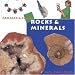 Rocks & Minerals (Fantastic Facts)