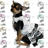 Pet Supplies : Blue Polka Dot and Lace Dress