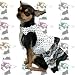 Pet Supplies : Blue Polka Dot and Lace Dress
