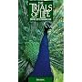 Trials of Life: Courting [VHS]