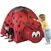 Indoor/ Outdoor Childrens Ladybug Play Tent