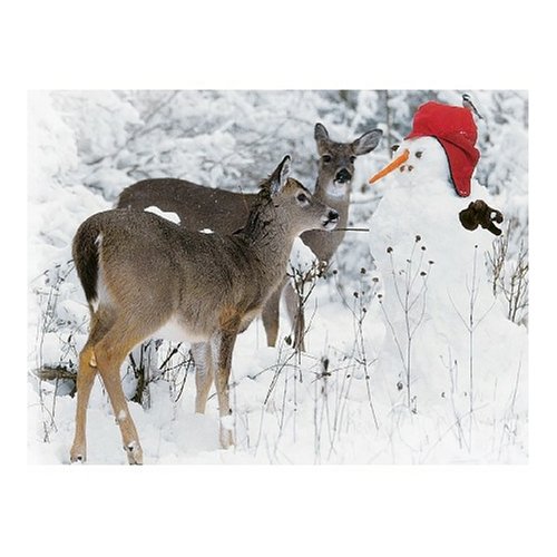 51X7N95QC4L FX Schmidt Woodland Stranger 300 Piece Jigsaw Puzzle
