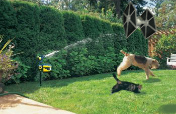 Forum Image: http://ecx.images-amazon.com/images/I/51X7ODNdZUL.jpg