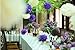 (Price/36 PCS)Aspire Pom Poms, Mixed Purple Tissue Paper Flowers, Party Favors