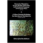 Excessive Narratives: Georges Bataille, Self-Sacrifice & the Communal Language of the Yucatec Maya book cover