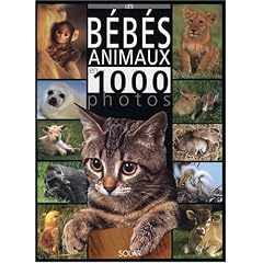 Les B�b�s animaux en 1000 photos