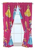 Disney Princess Journey On 82" x 63" Drape [並行輸入品]