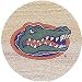 University of Florida Gators Sandstone Coaster Set