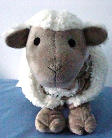 Snuggle Me Sherpa: Little Miracles ~ 2 Piece Blanket Pillow Set