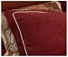 Kitchen & Housewares : Croscill Renaissance European Sham