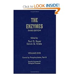 The Enzymes: Control by Phosphorylation, Part B : Specific Enzymes