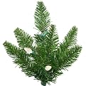 Ashley Spruce Tree - Green (12')