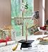 Graduation Money Tree W/ Mortarboard Hat Base By Collections Etc