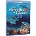 3D : Bien d�buter