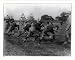 Historic Print (L): [Yale Univ. football scenes, ca. 1911: Practice scrimmage]