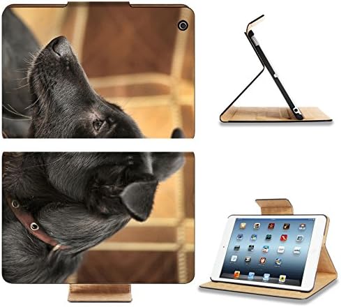 Apple iPad Mini 1st Generation Flip Case Black with gray puppy purebred crossbreed IMAGE 33757641 by MSD Customized Premium Deluxe Pu Leather generation Accessories HD Wifi Luxury Protector