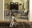 Carlson Extra-Tall Maxi Pet Gate