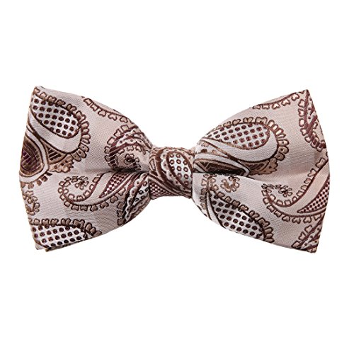 DBD7B.01 Elegant Patterns Microfiber Pre-tied Bow Tie For Interview By Dan Smith