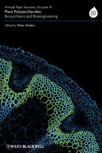 Annual Plant Reviews, Plant Polysaccharides: Biosynthesis and Bioengineering: Volume 41
